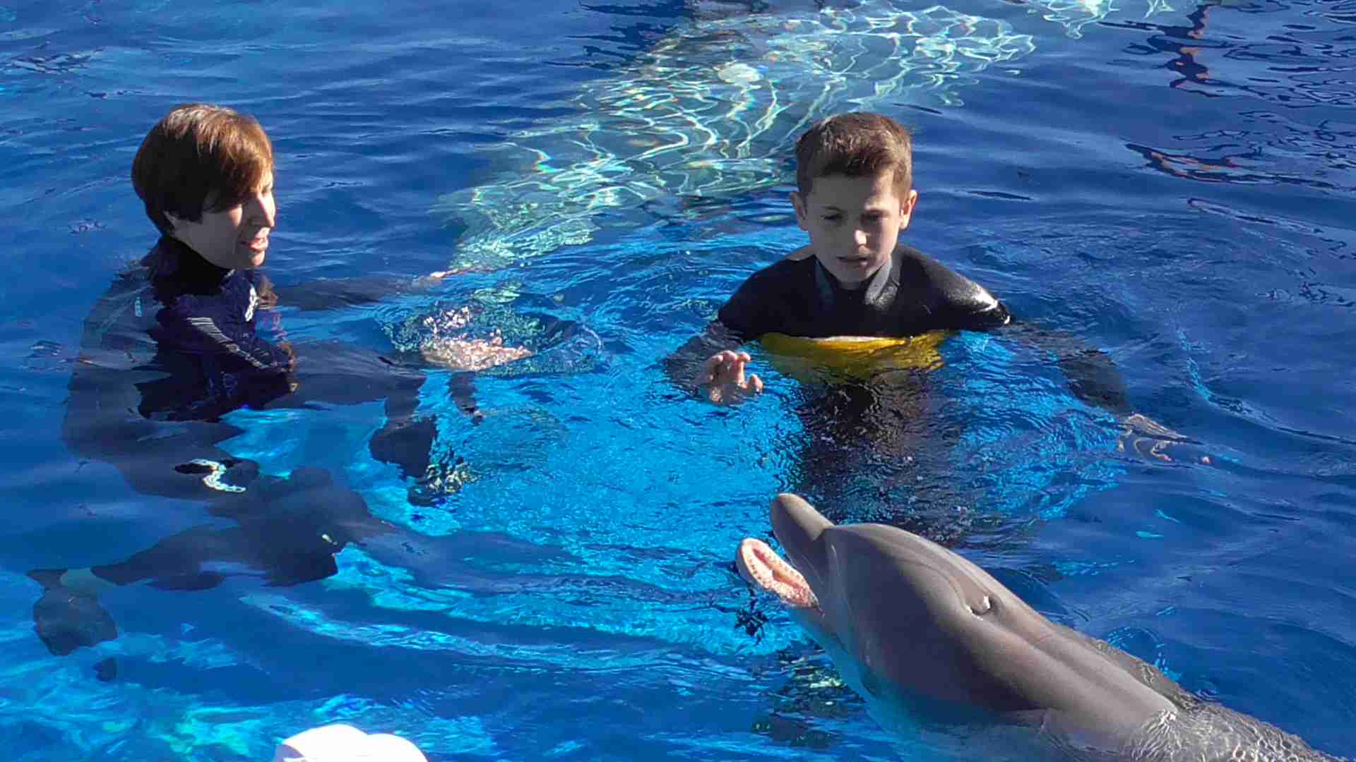 Delphintherapeutin M. Fischer mit Sohn Matheo im Wasser bei den Delphinen | LEAH e . V.